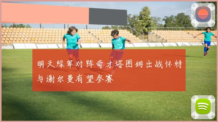 明天绿军对阵奇才塔图姆出战怀特与谢尔曼有望参赛